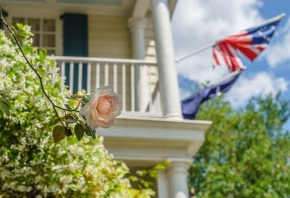 Discover charming Tinley Park with the downtown offering a small town feel.